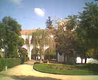 Galaria das Damas