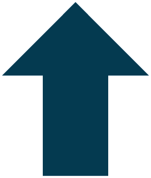 zurück zum Seitenanfang