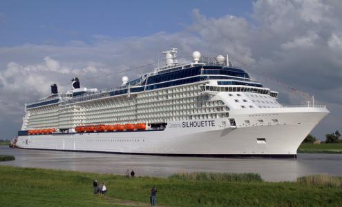  Celebrity Silhouette