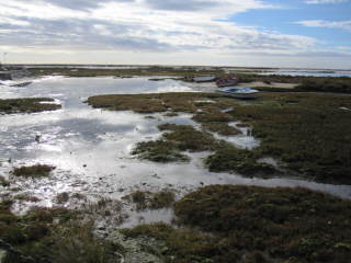 ..Ria Formosa bei Fuzetea im Dezember