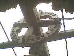 das hözerne Zahnradgetriebe einer alten Windmühle