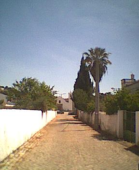 hier kann die Seele baumeln