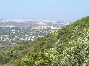 Blick vom  auf Albufeira