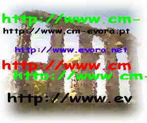 &Eacute;vora im Internet 