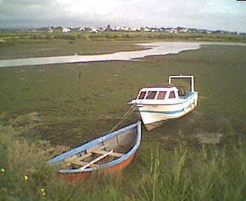 Cabanas am Hafen