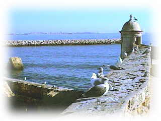 Lagos - Blick vom Fort