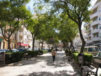 Avenida José da Costa Mealha