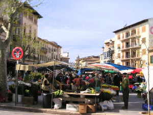 Cuidat Romana de Pollentia