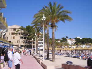 Platja Palmira
