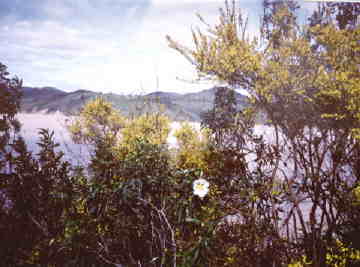 Barragem do Arade 