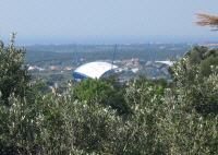Gedr&auml;nge vor der Markthalle
