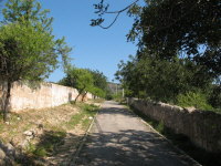 Natur pur am Ortsrand