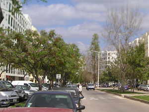 Avenida Francisco SÁ Carneiro