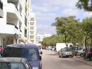 Avenida Francisco S&Aacute; Carneiro