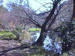 Im Quellental Ben&eacute;mola