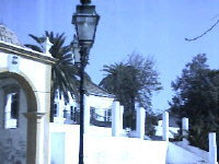 im &ouml;ffentlichen Park