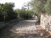 Calcadinha Romana
