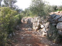 Calcadinha Romana