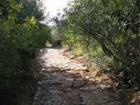 Calcadinha Romana