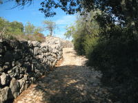 Calcadinha Romana
