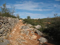 Calcadinha Romana
