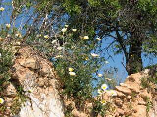 Blick vom Parque Eduardo VII audf Lissabon