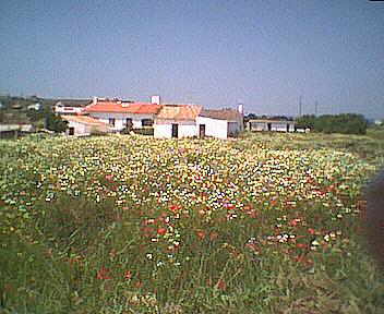 bäuerliches Ambiente zwischen Burgau und Luz