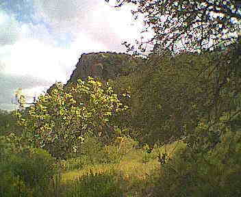 Blick vom Picknickplatz auf die Serra de Caldeirão 