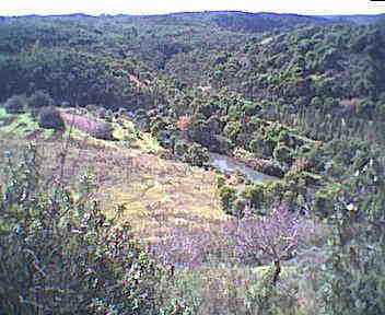 Blick auf den Fluss